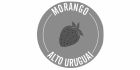Morango Alto-Uruguai